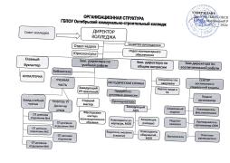 Организационная структура ГБПОУ ОКСК